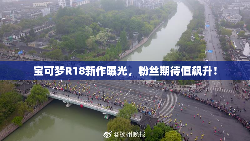 宝可梦R18新作曝光，粉丝期待值飙升！