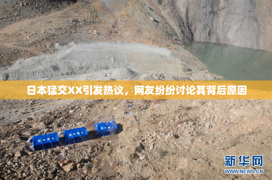 日本猛交XX引发热议，网友纷纷讨论其背后原因