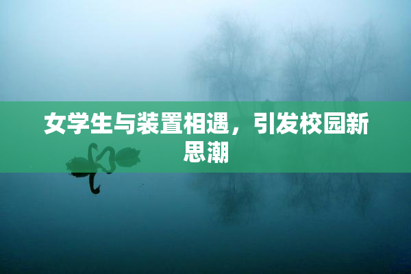 女学生与装置相遇，引发校园新思潮