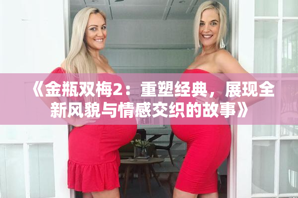 《金瓶双梅2：重塑经典，展现全新风貌与情感交织的故事》