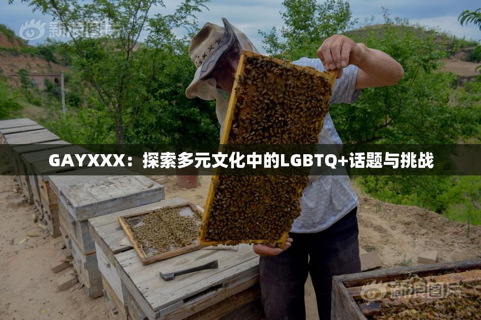 GAYXXX：探索多元文化中的LGBTQ+话题与挑战