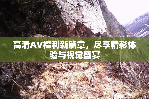 高清AV福利新篇章，尽享精彩体验与视觉盛宴
