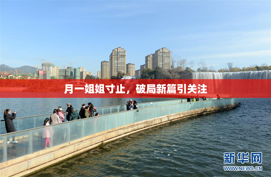 月一姐姐寸止，破局新篇引关注