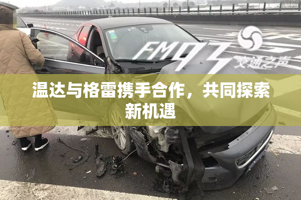 温达与格雷携手合作，共同探索新机遇