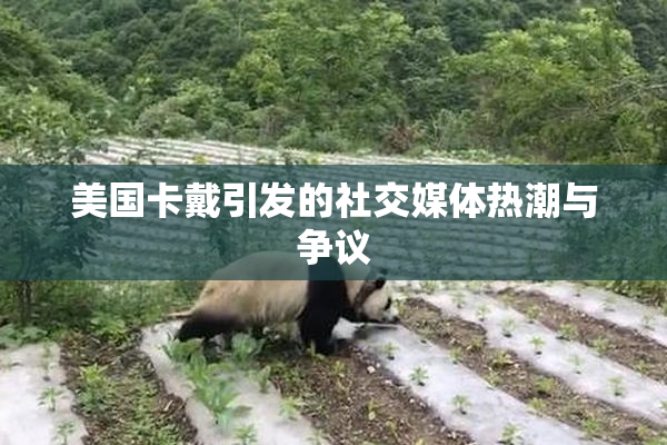 美国卡戴引发的社交媒体热潮与争议