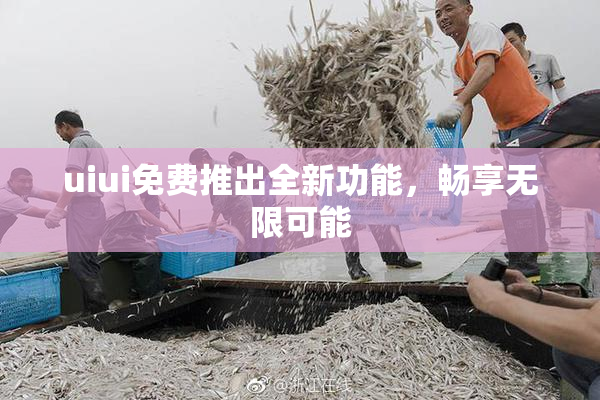 uiui免费推出全新功能，畅享无限可能