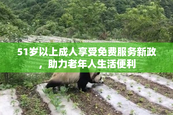 51岁以上成人享受免费服务新政，助力老年人生活便利
