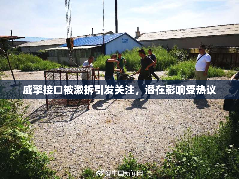 威擎接口被激拆引发关注，潜在影响受热议