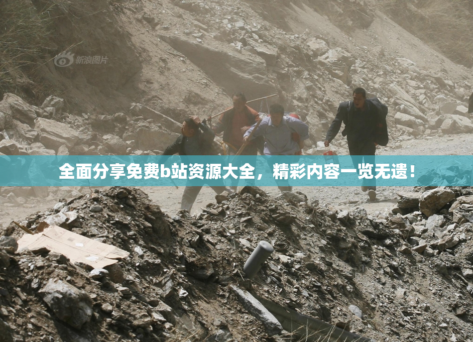 全面分享免费b站资源大全，精彩内容一览无遗！