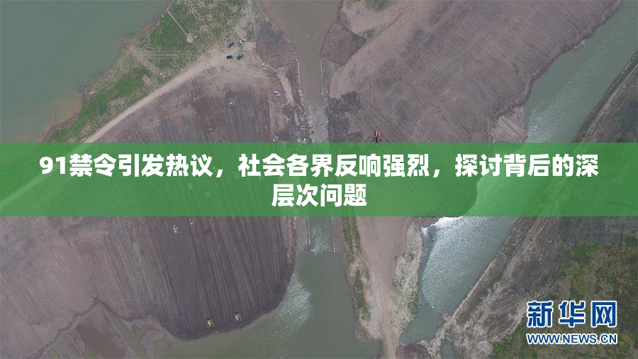 91禁令引发热议，社会各界反响强烈，探讨背后的深层次问题