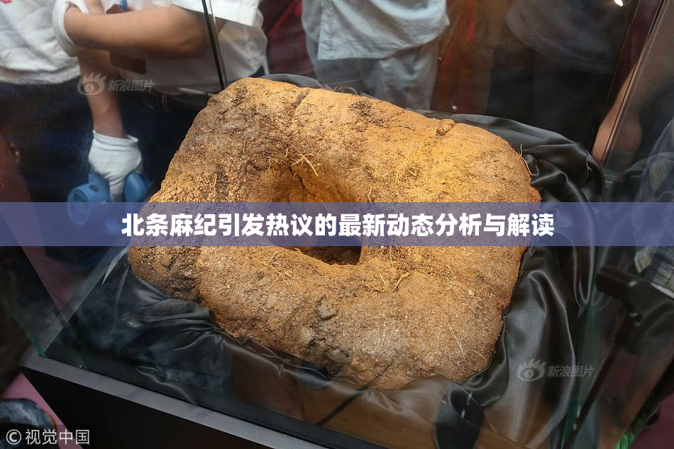 北条麻纪引发热议的最新动态分析与解读