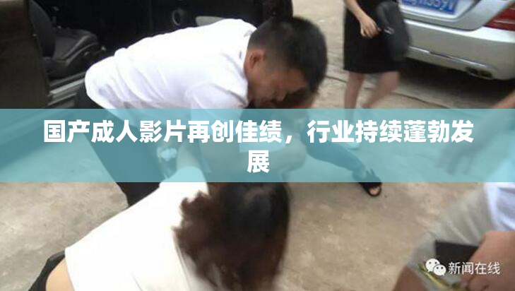 国产成人影片再创佳绩，行业持续蓬勃发展