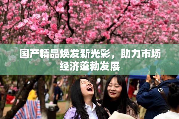 国产精品焕发新光彩，助力市场经济蓬勃发展