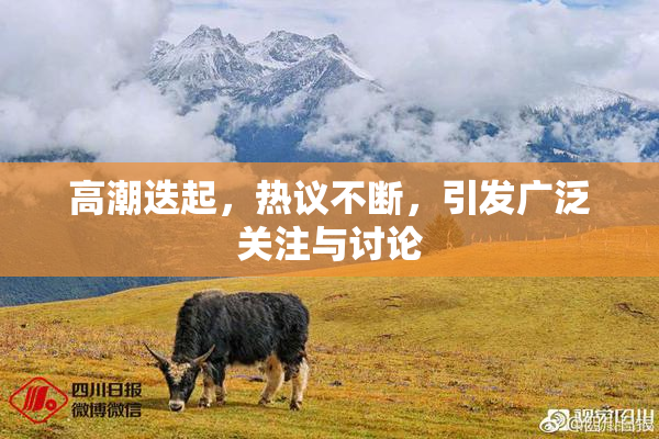 高潮迭起，热议不断，引发广泛关注与讨论