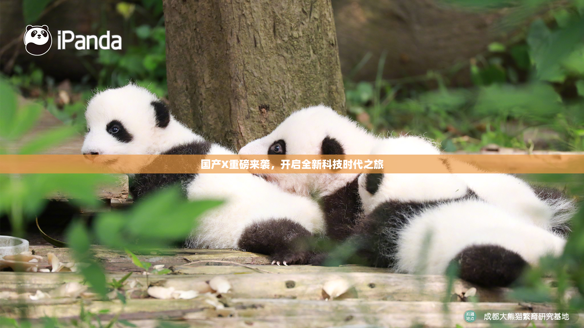 国产X重磅来袭，开启全新科技时代之旅