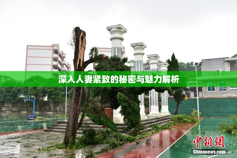 深入人妻紧致的秘密与魅力解析