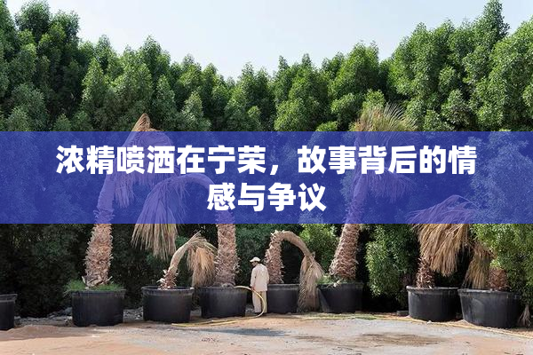 浓精喷洒在宁荣，故事背后的情感与争议