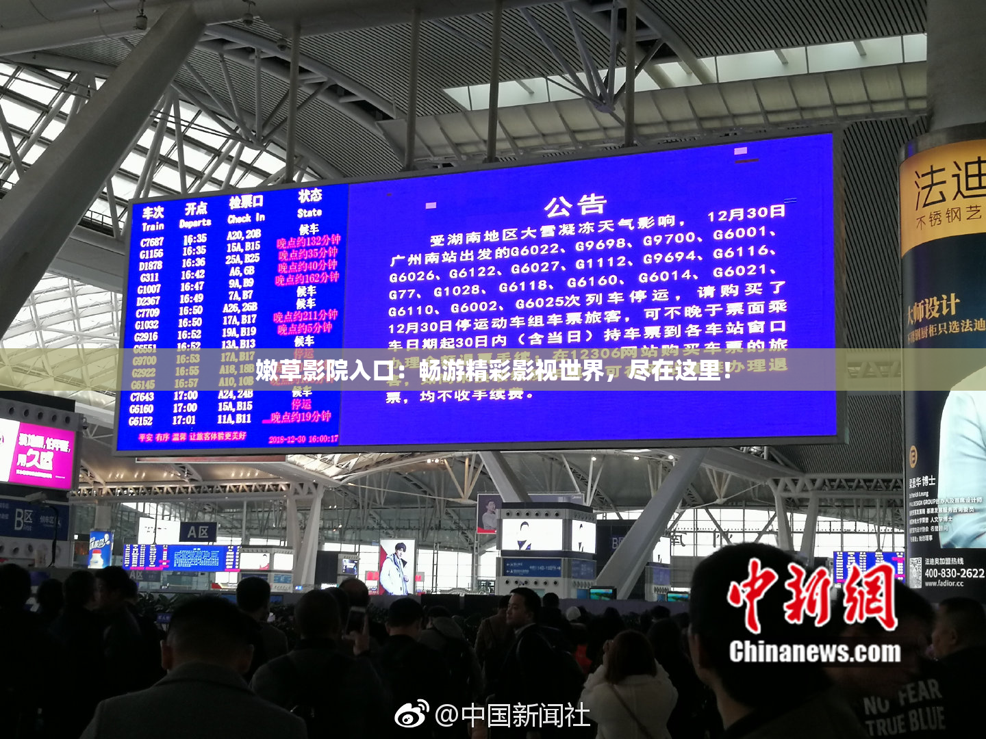 嫩草影院入口：畅游精彩影视世界，尽在这里！