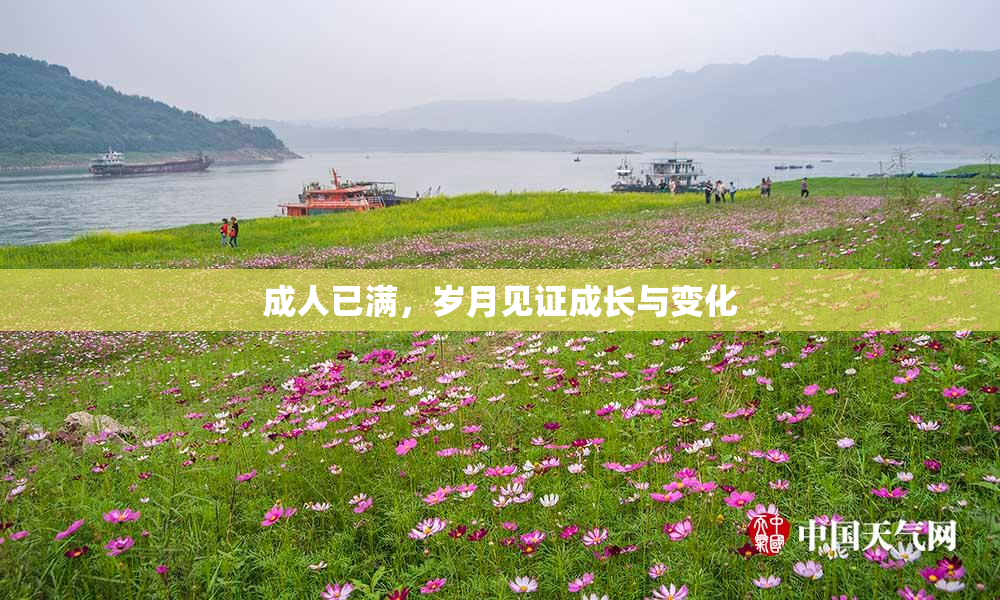 成人已满，岁月见证成长与变化