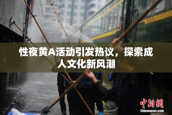 性夜黄A活动引发热议，探索成人文化新风潮