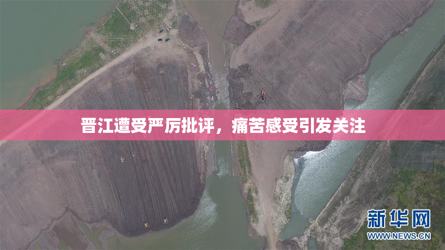 晋江遭受严厉批评，痛苦感受引发关注