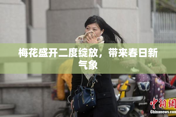 梅花盛开二度绽放，带来春日新气象