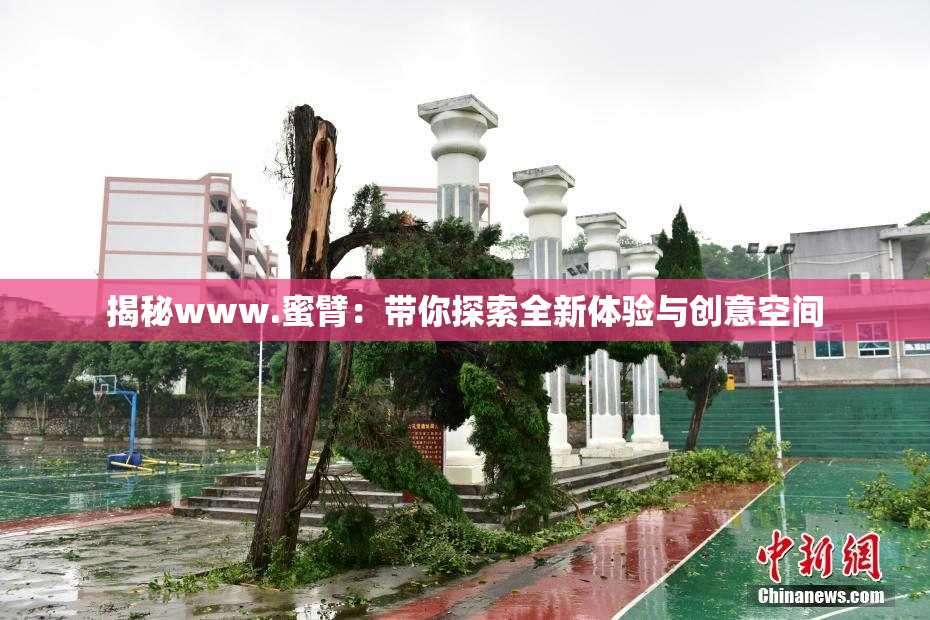 揭秘www.蜜臂：带你探索全新体验与创意空间