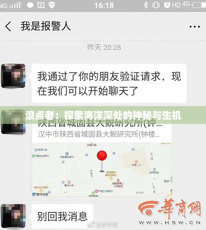 浪点老：探索海洋深处的神秘与生机