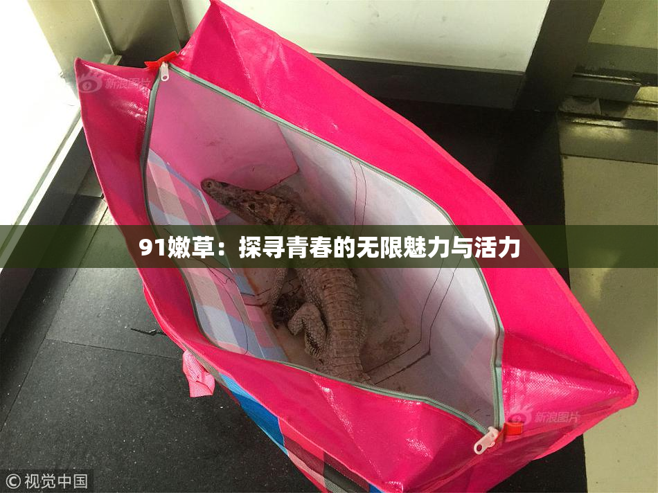 91嫩草：探寻青春的无限魅力与活力