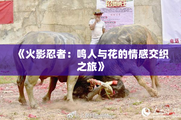 《火影忍者：鸣人与花的情感交织之旅》