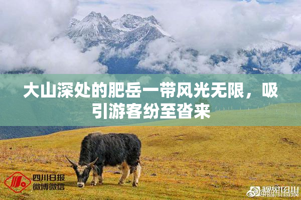 大山深处的肥岳一带风光无限，吸引游客纷至沓来