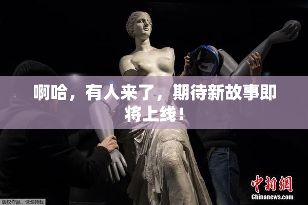 啊哈，有人来了，期待新故事即将上线！
