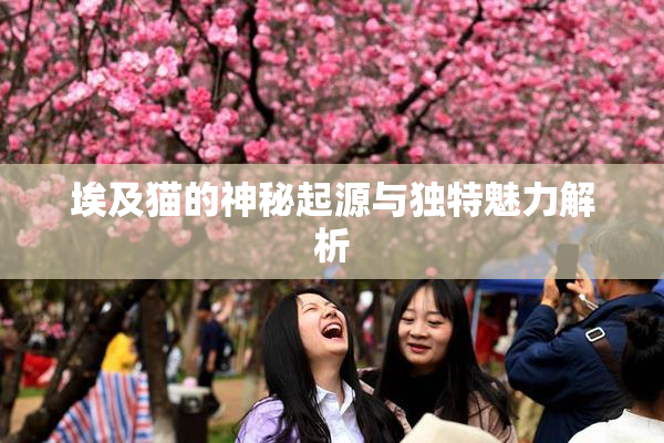 埃及猫的神秘起源与独特魅力解析