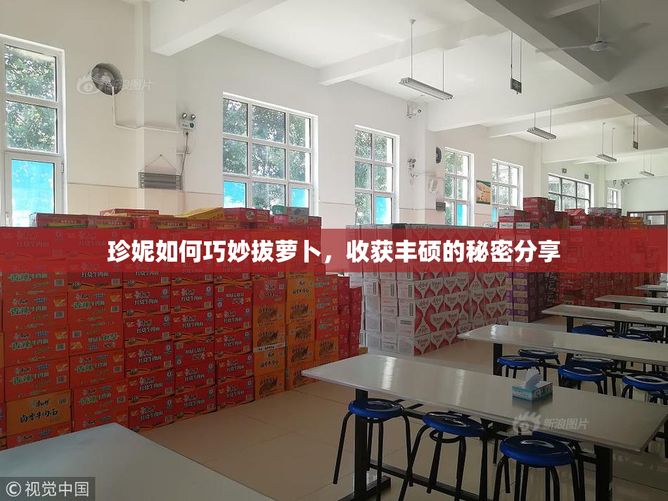 珍妮如何巧妙拔萝卜，收获丰硕的秘密分享