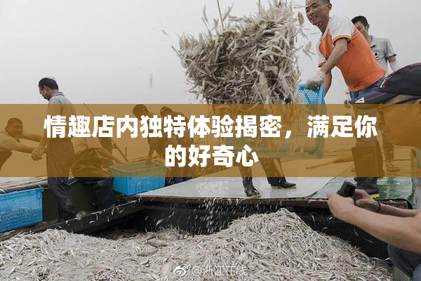 情趣店内独特体验揭密，满足你的好奇心
