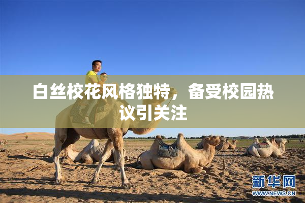 白丝校花风格独特，备受校园热议引关注
