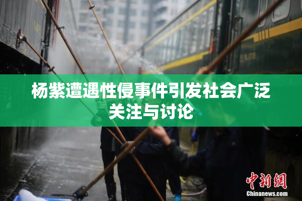 杨紫遭遇性侵事件引发社会广泛关注与讨论