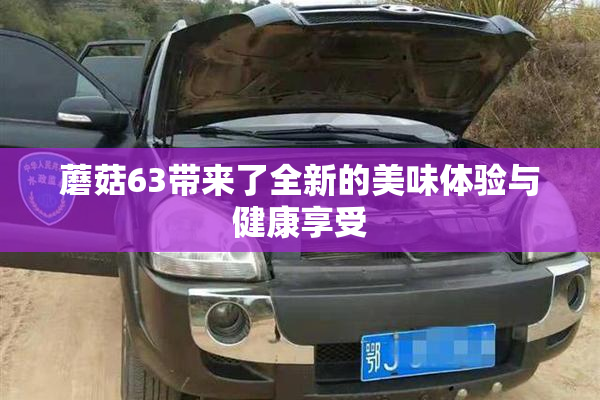 蘑菇63带来了全新的美味体验与健康享受