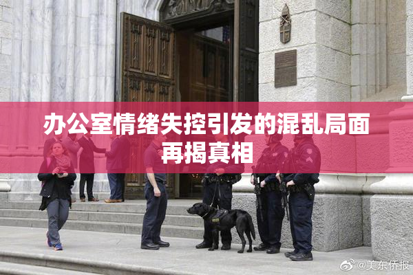 办公室情绪失控引发的混乱局面再揭真相