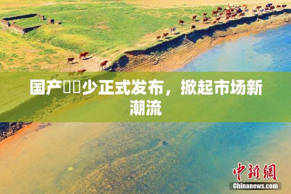 国产❌‌少正式发布，掀起市场新潮流