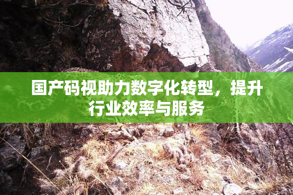 国产码视助力数字化转型，提升行业效率与服务