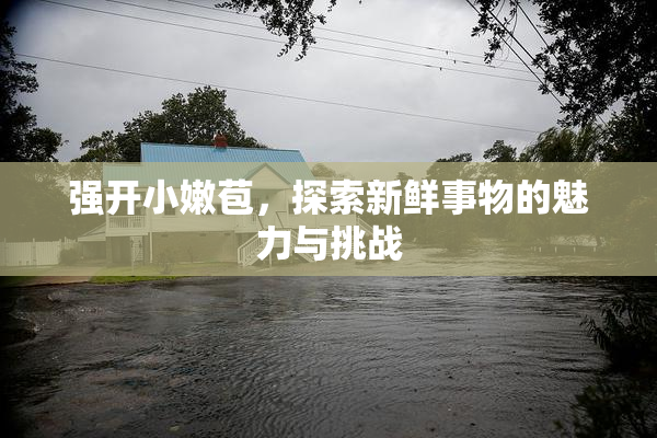 强开小嫩苞，探索新鲜事物的魅力与挑战