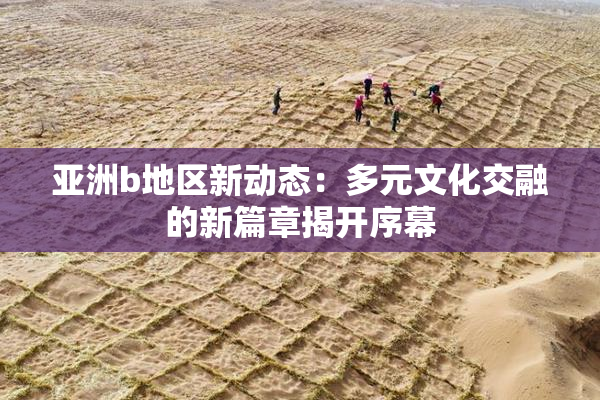 亚洲b地区新动态：多元文化交融的新篇章揭开序幕