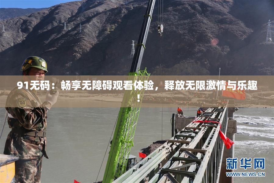 91无码：畅享无障碍观看体验，释放无限激情与乐趣！