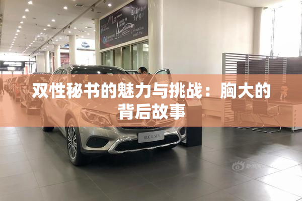 双性秘书的魅力与挑战：胸大的背后故事