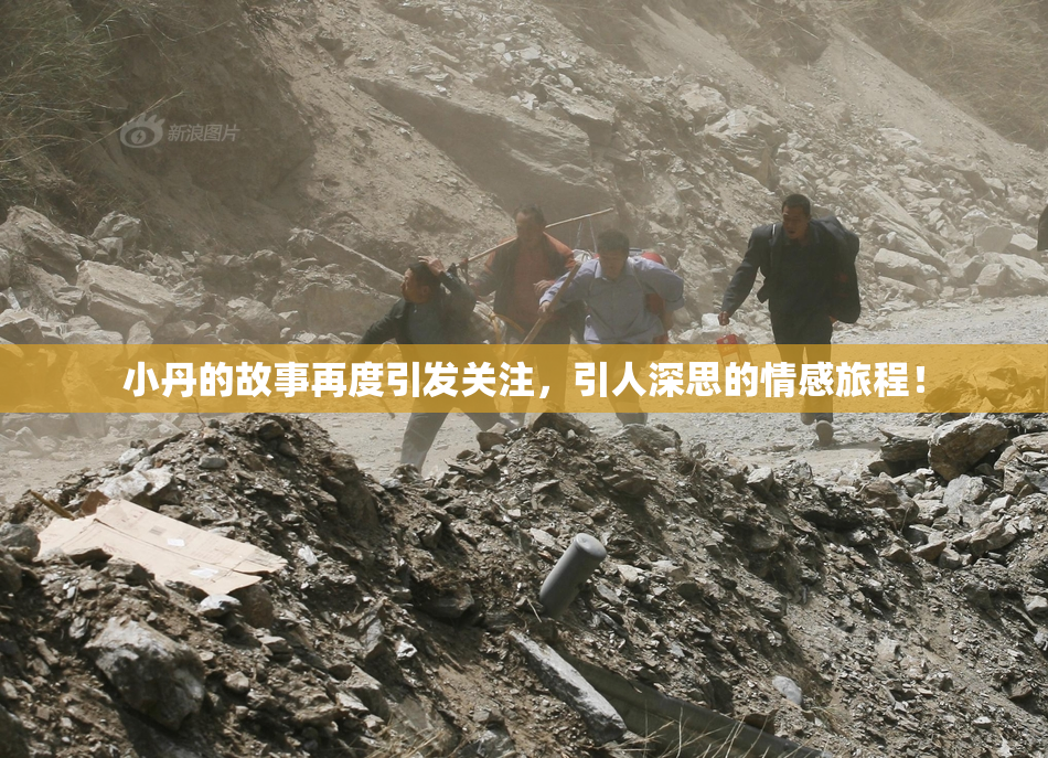小丹的故事再度引发关注，引人深思的情感旅程！