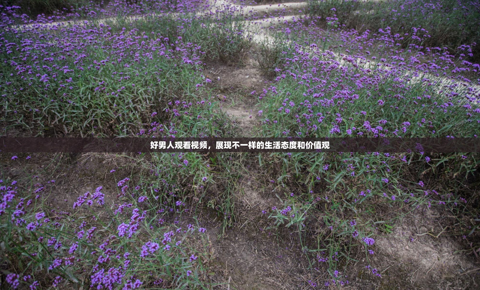 好男人观看视频，展现不一样的生活态度和价值观