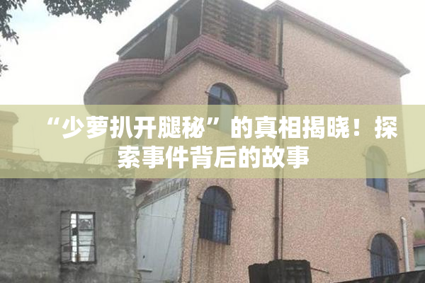 “少萝扒开腿秘”的真相揭晓！探索事件背后的故事