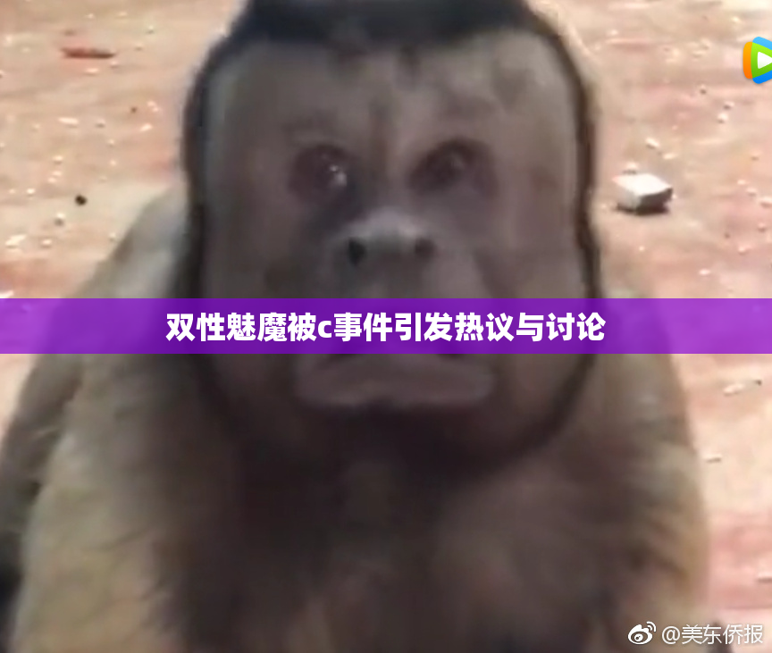 双性魅魔被c事件引发热议与讨论