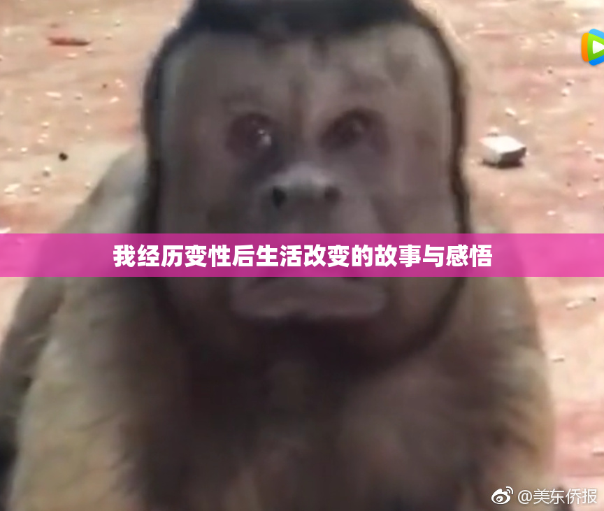 我经历变性后生活改变的故事与感悟
